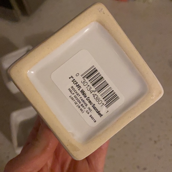 2x2 succulent planters white ceramic - Picture 3 of 4